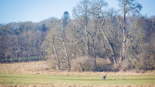Field with two people walking in winter, with trees behind